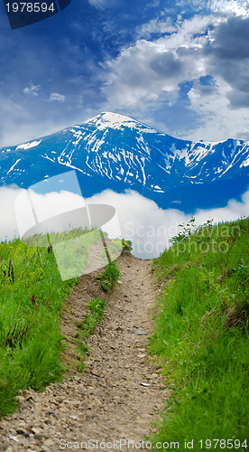 Image of Path through lush countryside