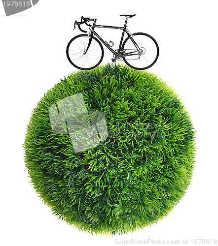 Image of bicycle and grass sphere