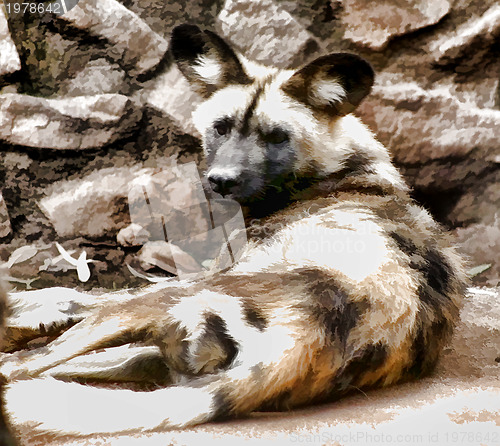 Image of Pastel Image African Wild Dog with Gig Ears