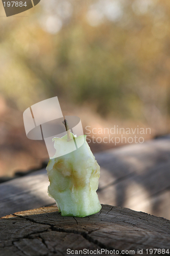 Image of Apple on tree stump