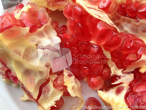 Image of pomegranate 