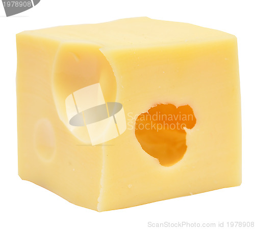 Image of cheese cube