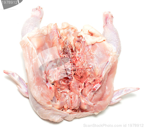 Image of raw chicken