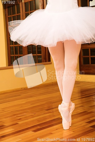 Image of Ballerina #13