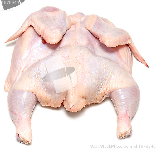 Image of raw chicken 