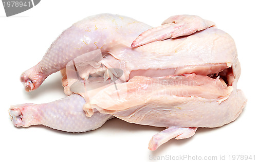 Image of raw chicken 
