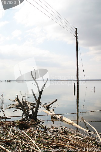 Image of After the storm