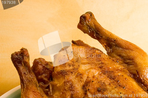 Image of Chicken #2