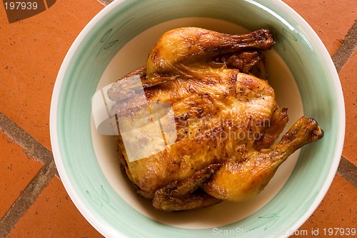 Image of Chicken #5