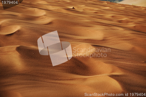 Image of Desert Sand