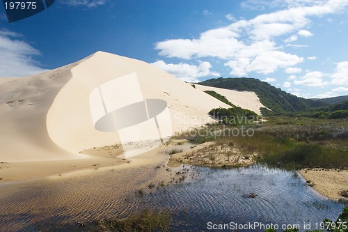 Image of Dunes #4