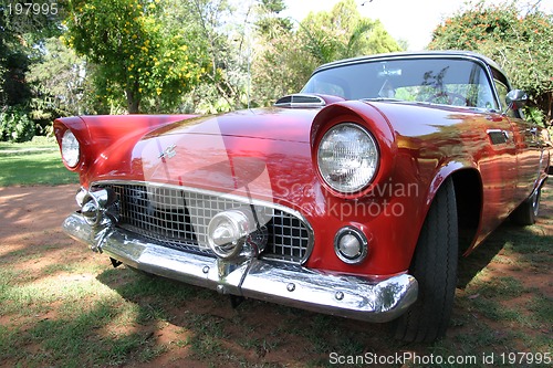 Image of Ford t-bird