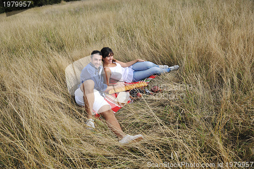 Image of happy couple enjoying countryside picnic in long grass