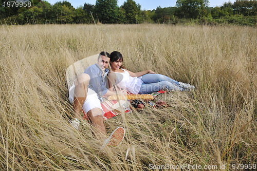 Image of happy couple enjoying countryside picnic in long grass