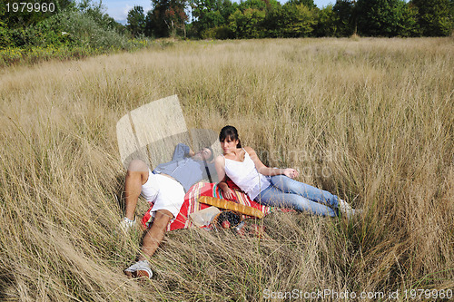 Image of happy couple enjoying countryside picnic in long grass