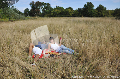 Image of happy couple enjoying countryside picnic in long grass