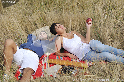 Image of happy couple enjoying countryside picnic in long grass