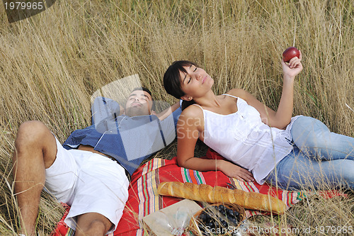 Image of happy couple enjoying countryside picnic in long grass