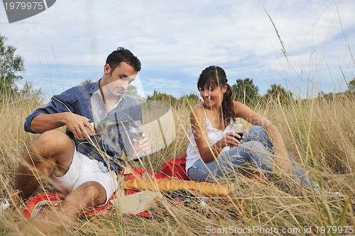 Image of happy couple enjoying countryside picnic in long grass