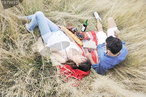 Image of happy couple enjoying countryside picnic in long grass