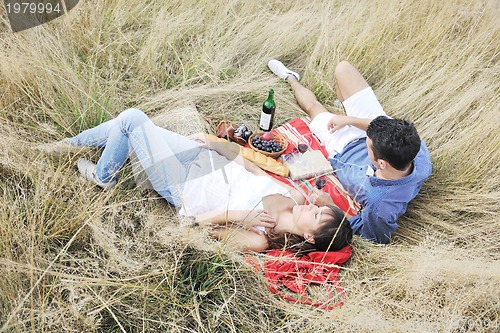 Image of happy couple enjoying countryside picnic in long grass