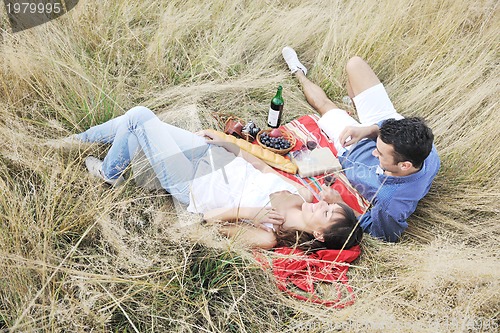 Image of happy couple enjoying countryside picnic in long grass