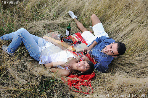 Image of happy couple enjoying countryside picnic in long grass