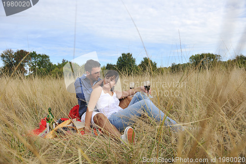 Image of happy couple enjoying countryside picnic in long grass