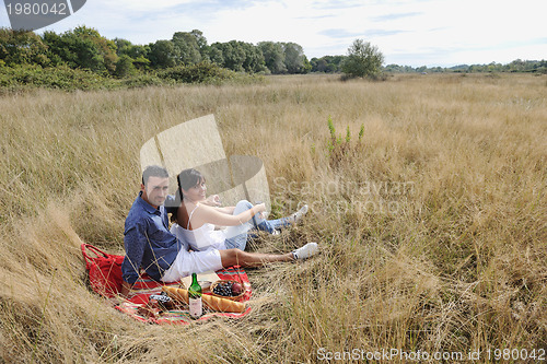 Image of happy couple enjoying countryside picnic in long grass