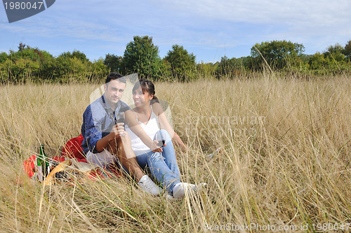 Image of happy couple enjoying countryside picnic in long grass