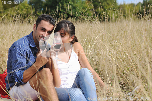 Image of happy couple enjoying countryside picnic in long grass