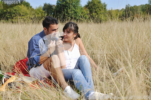 Image of happy couple enjoying countryside picnic in long grass