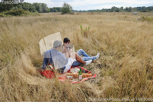 Image of happy couple enjoying countryside picnic in long grass