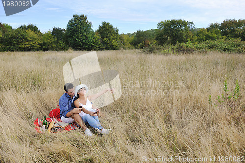 Image of happy couple enjoying countryside picnic in long grass