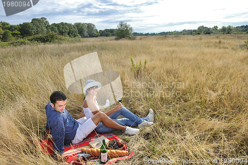 Image of happy couple enjoying countryside picnic in long grass