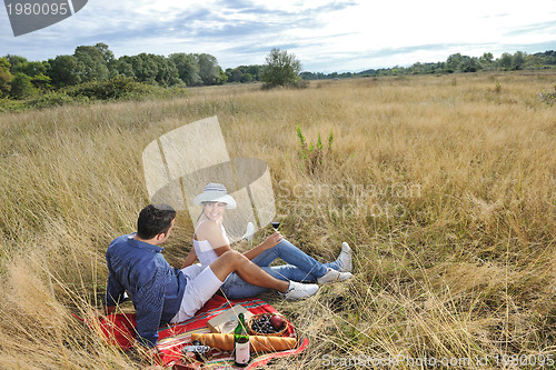 Image of happy couple enjoying countryside picnic in long grass