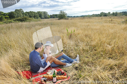 Image of happy couple enjoying countryside picnic in long grass