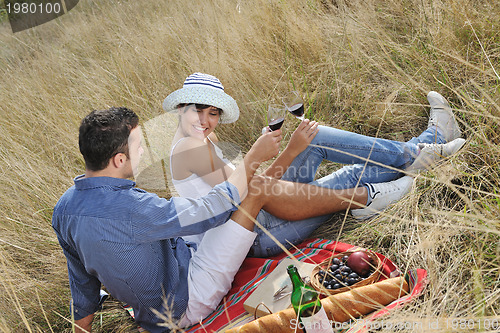 Image of happy couple enjoying countryside picnic in long grass