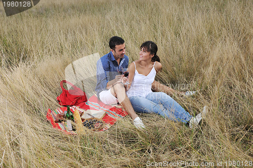 Image of happy couple enjoying countryside picnic in long grass