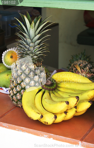 Image of Tropical fruit - bananas, pineapple and melons