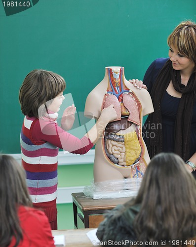 Image of learn biology in school