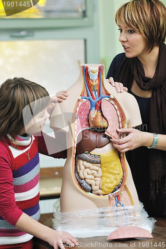 Image of learn biology in school