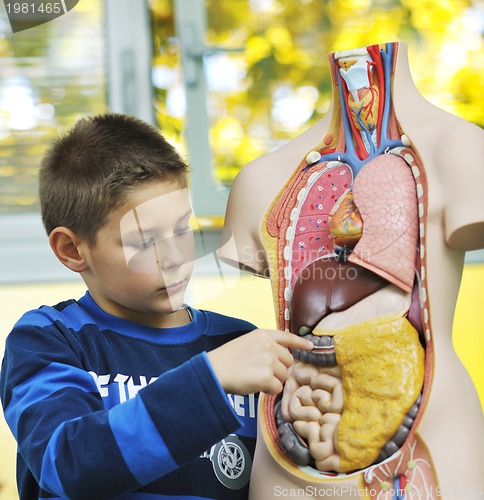 Image of learn biology in school