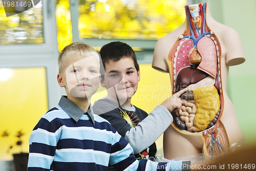 Image of learn biology in school