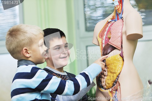 Image of learn biology in school