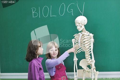 Image of learn biology in school