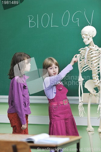 Image of learn biology in school