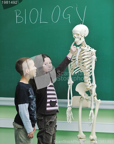 Image of learn biology in school