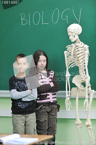 Image of learn biology in school