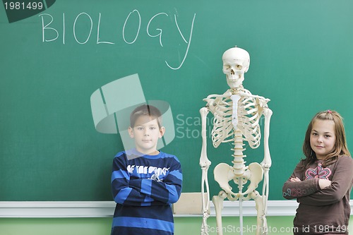 Image of learn biology in school